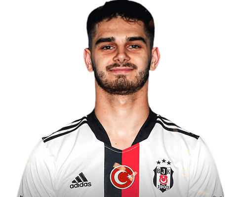 Ajdin Hasic