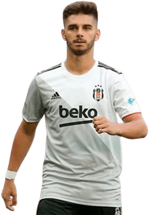 Ajdin Hasic