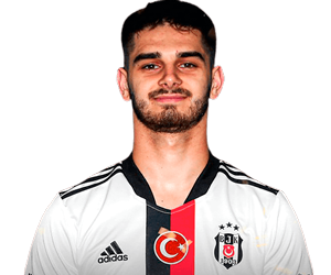 Ajdin Hasic
